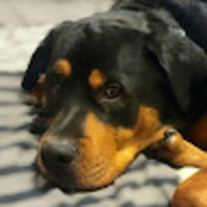 Meet your Posher, Jess